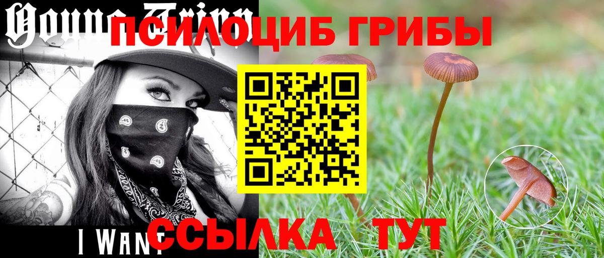 Белая Калитва  Галлюциногенные грибы мухоморы  Вход с VPN  Галлюциногенные грибы прущие грибы 